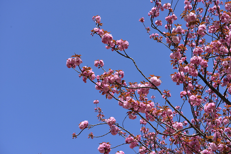 image0096