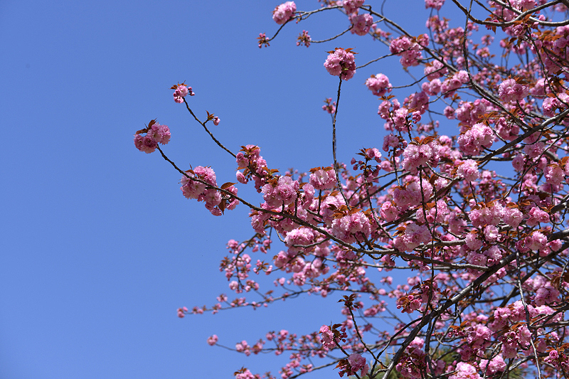 image0097