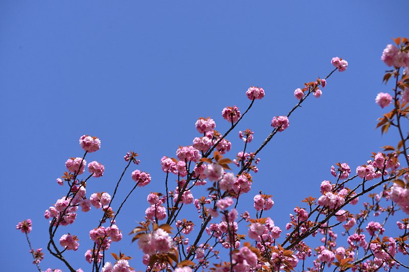 image0100