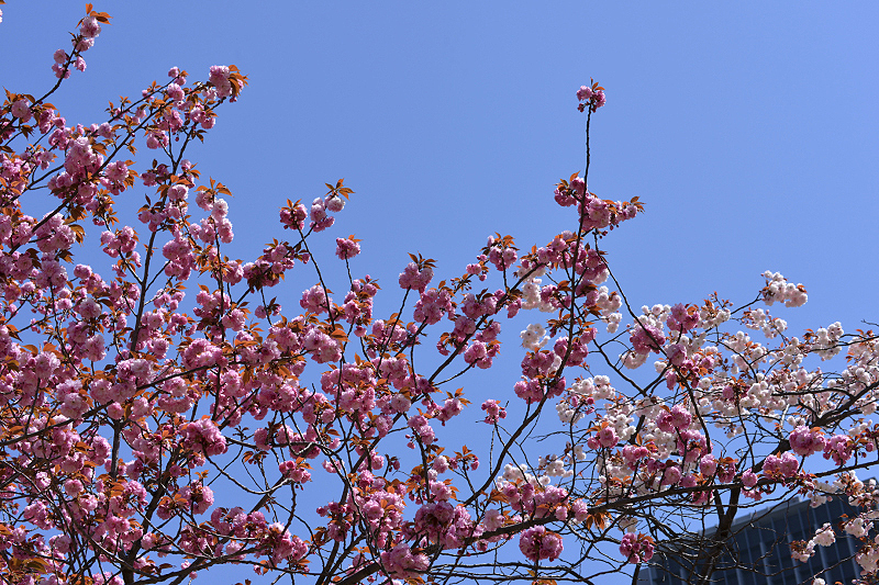 image0101