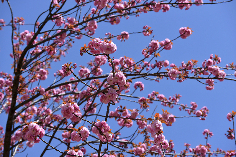 image0104