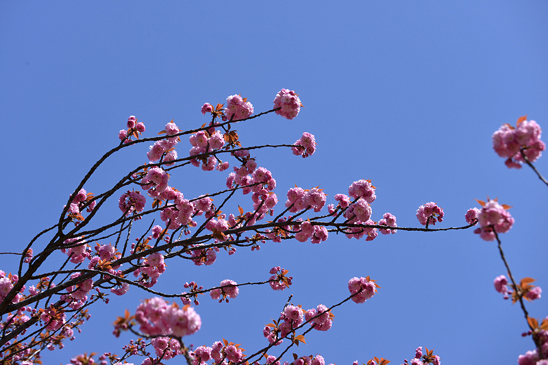 image0105