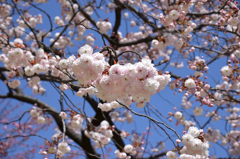 image0107