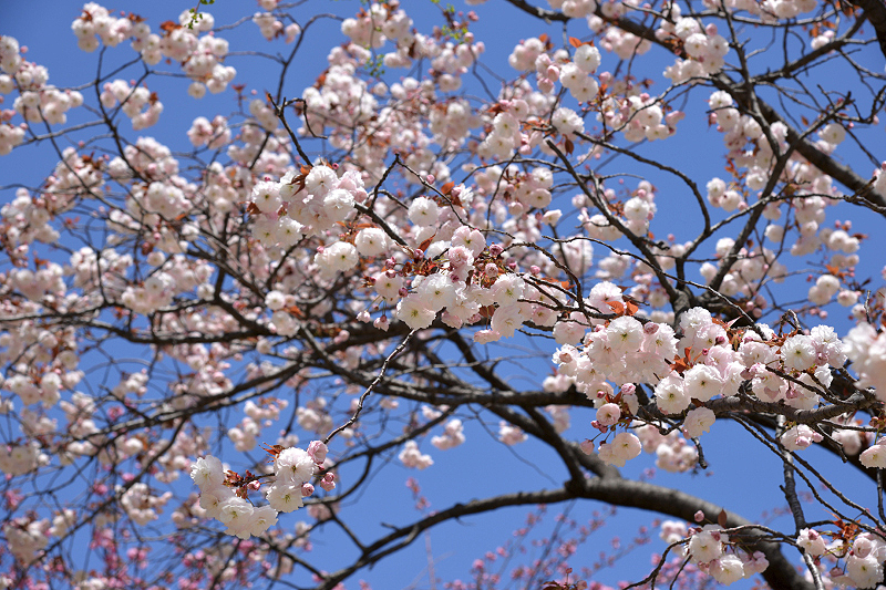 image0108