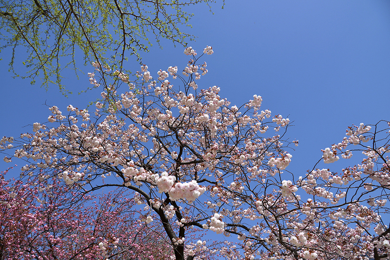image0109