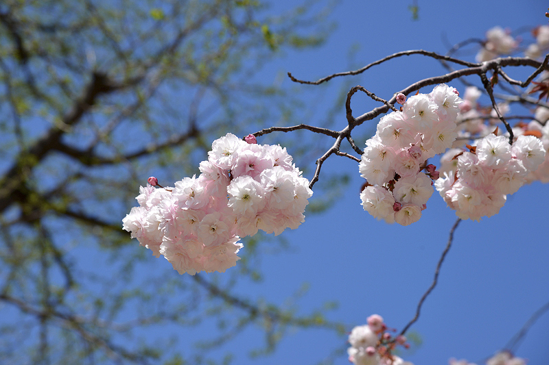 image0114