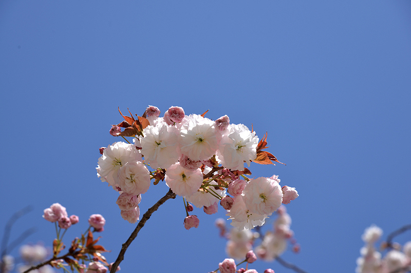 image0115