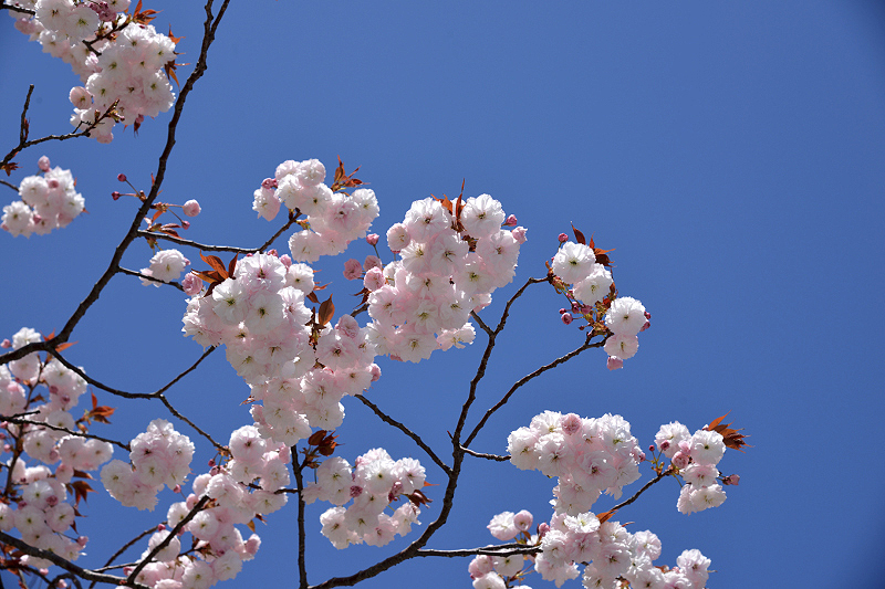 image0120