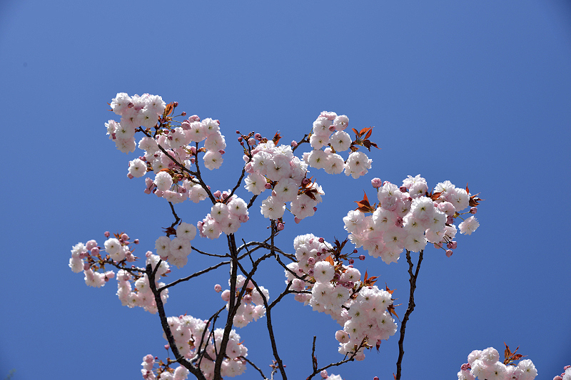 image0121