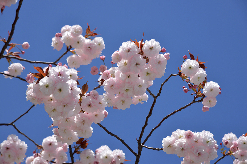 image0122