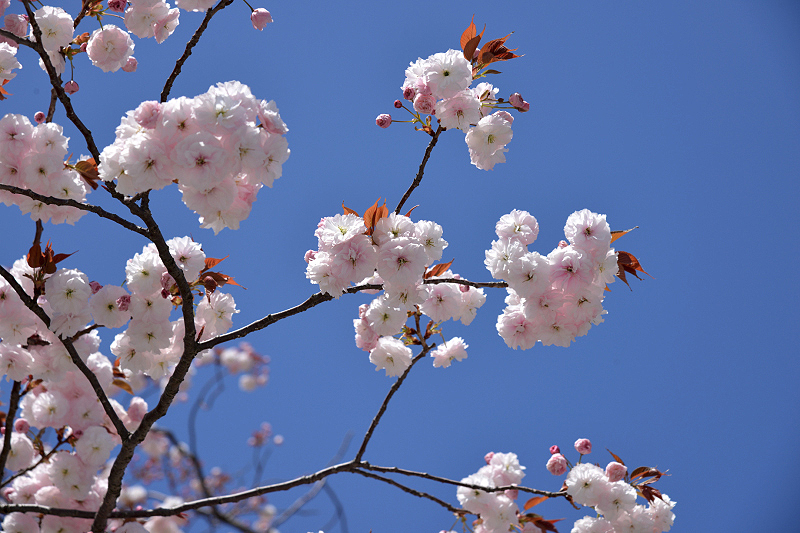 image0123