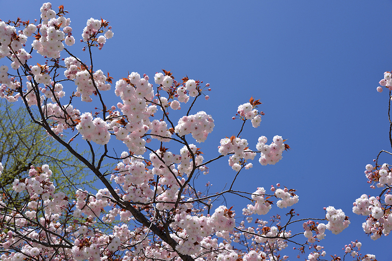 image0124