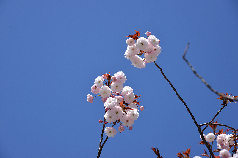 image0126