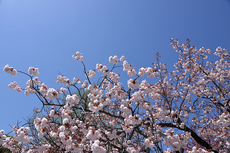 image0137