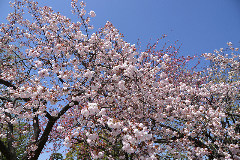 image0144