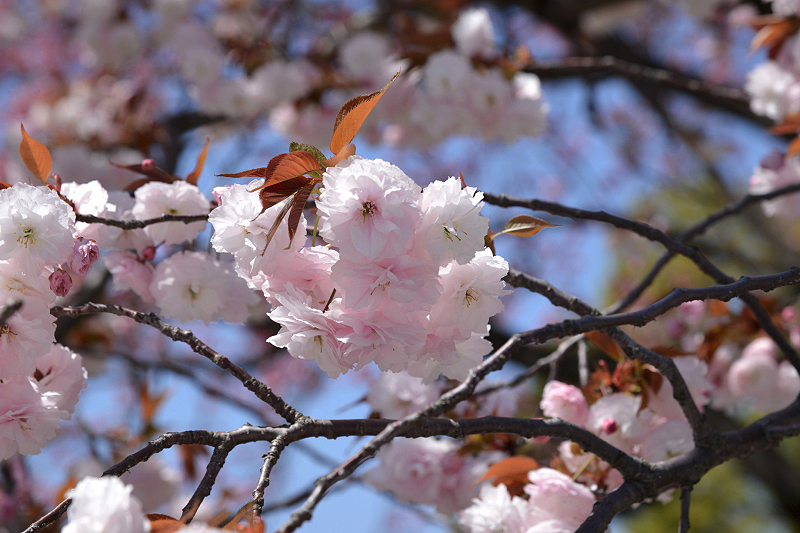 image0149