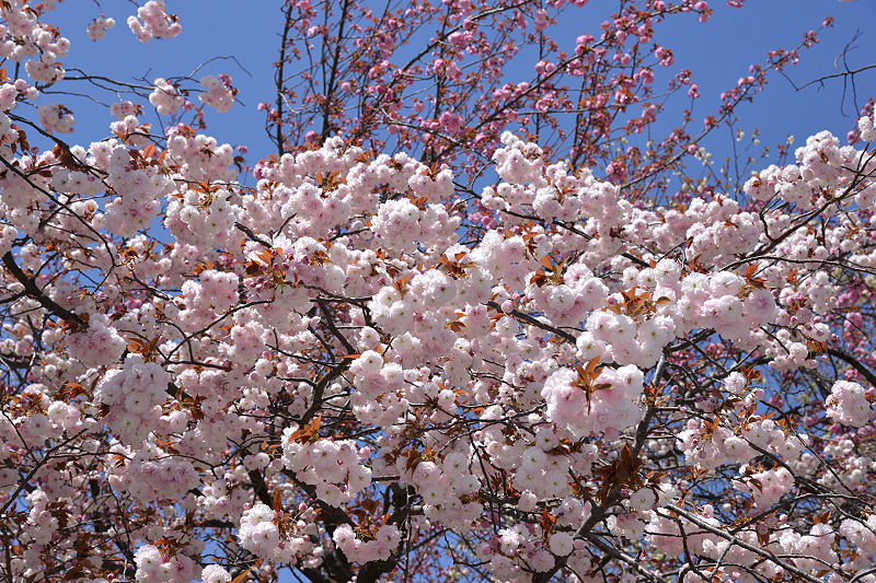 image0152