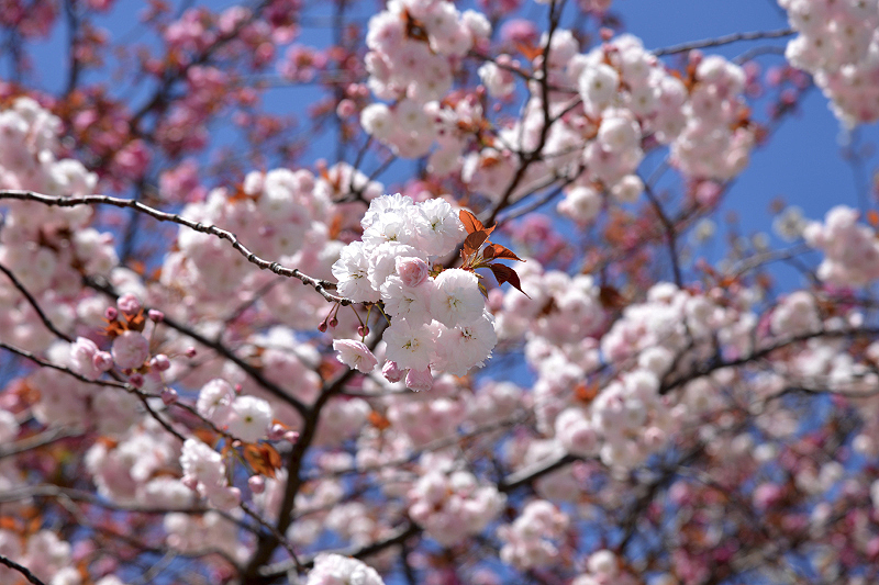 image0155