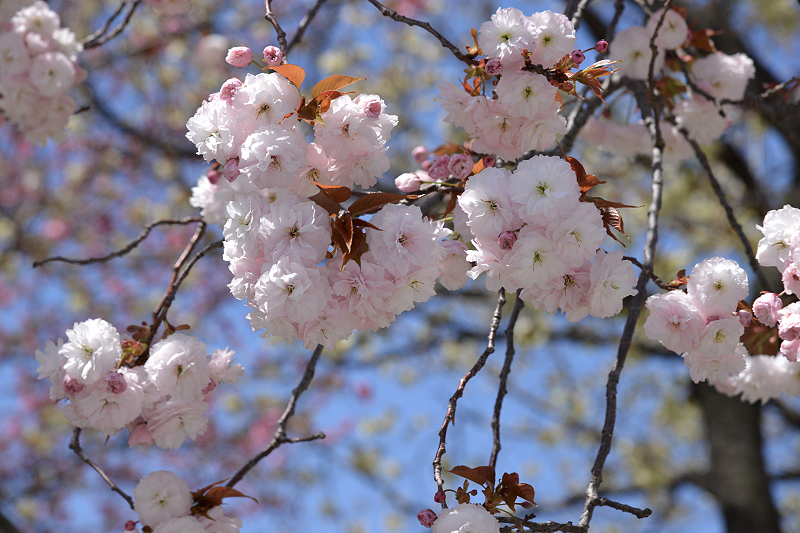 image0157