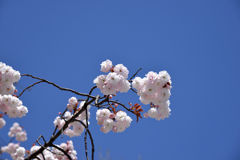 image0159