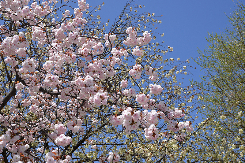 image0167