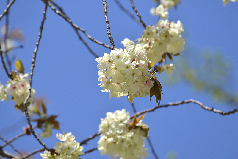image0173