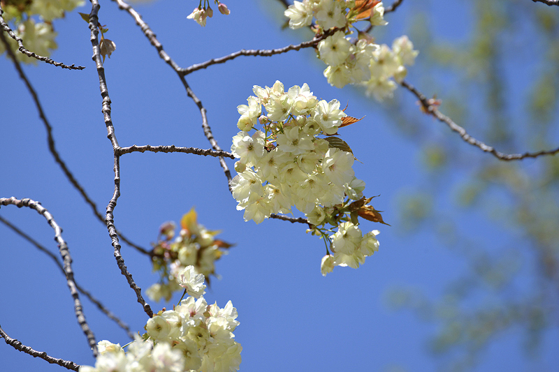 image0174