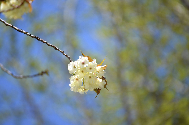 image0175