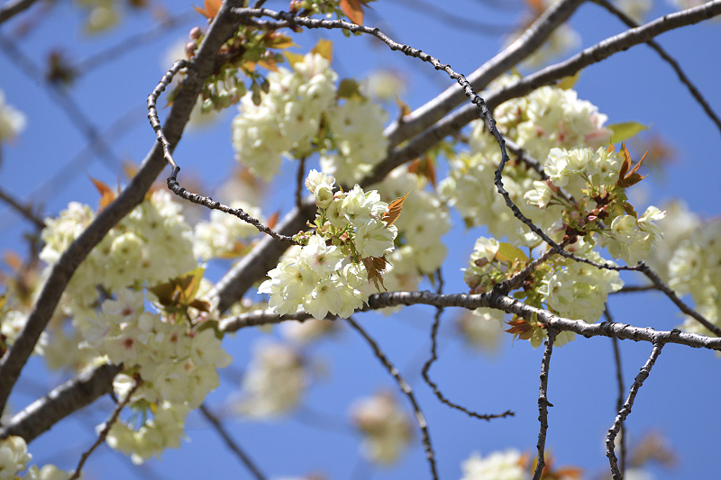 image0176
