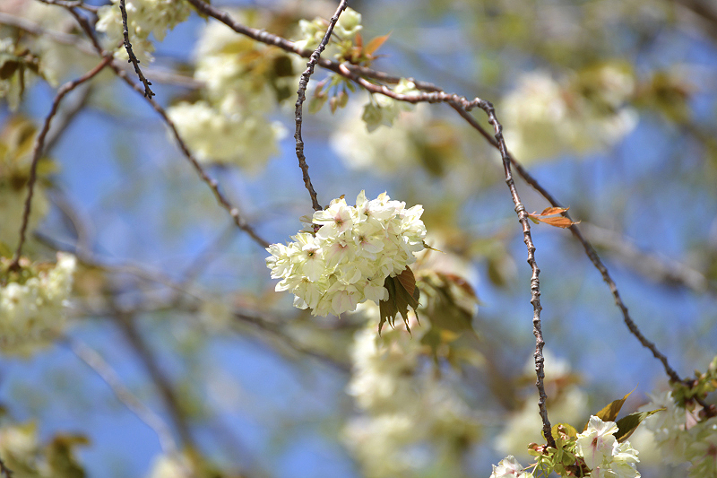 image0179