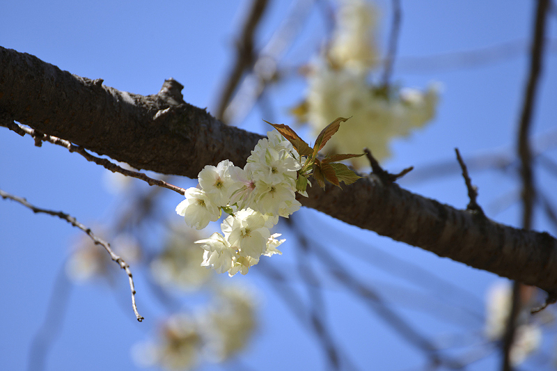 image0187