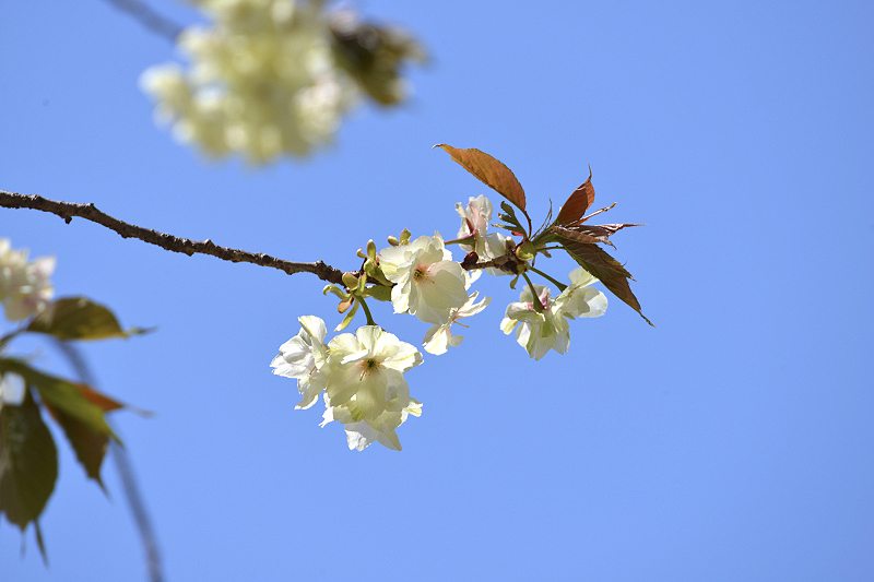 image0192