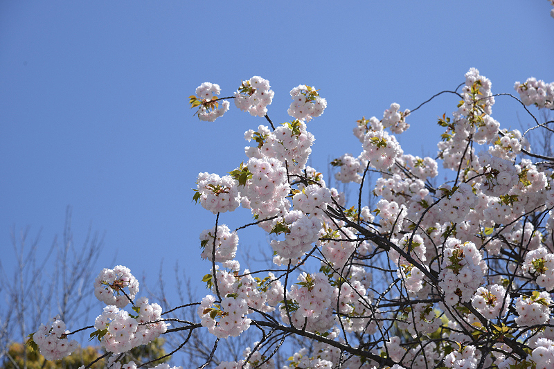 image0196
