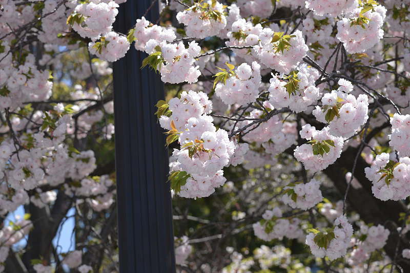 image0197