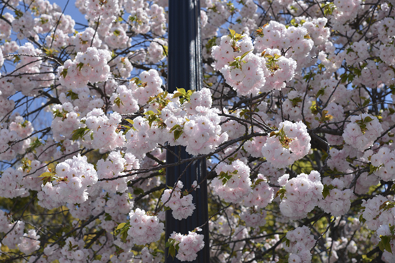 image0198