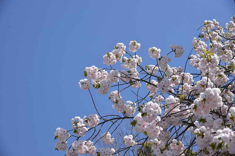 image0199