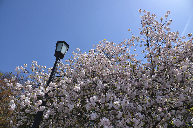 image0200