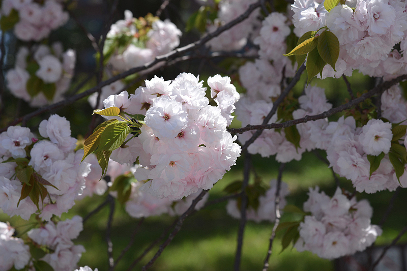 image0203