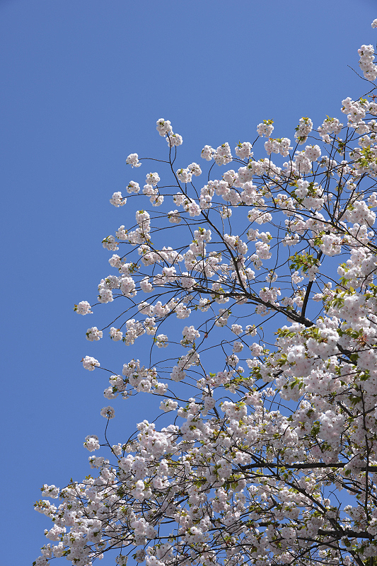 image0208