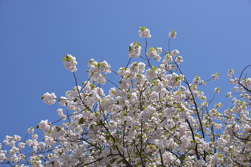 image0210