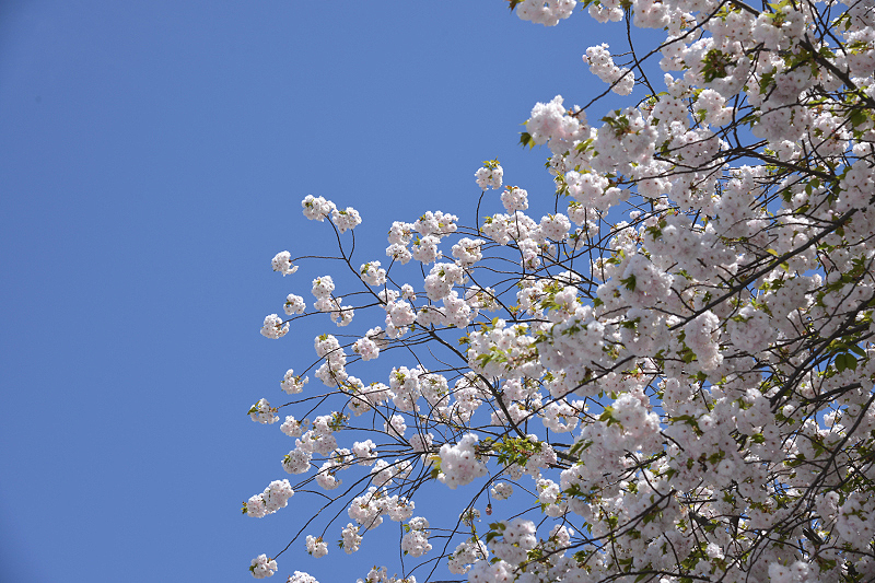 image0211