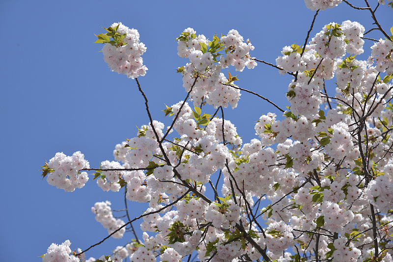 image0213