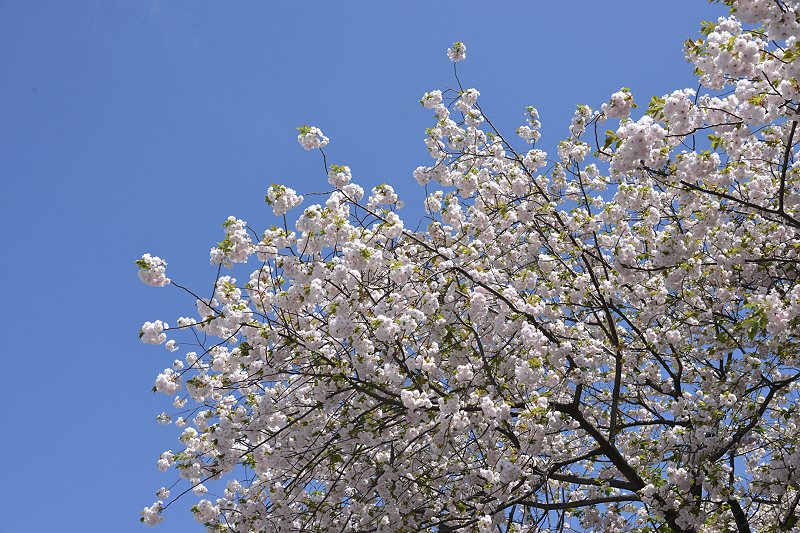 image0214
