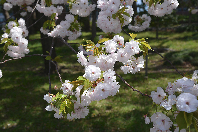 image0215