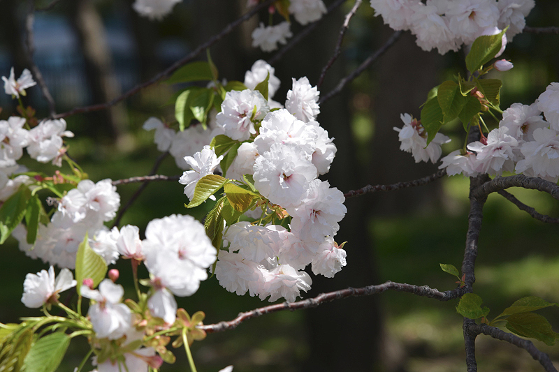 image0216