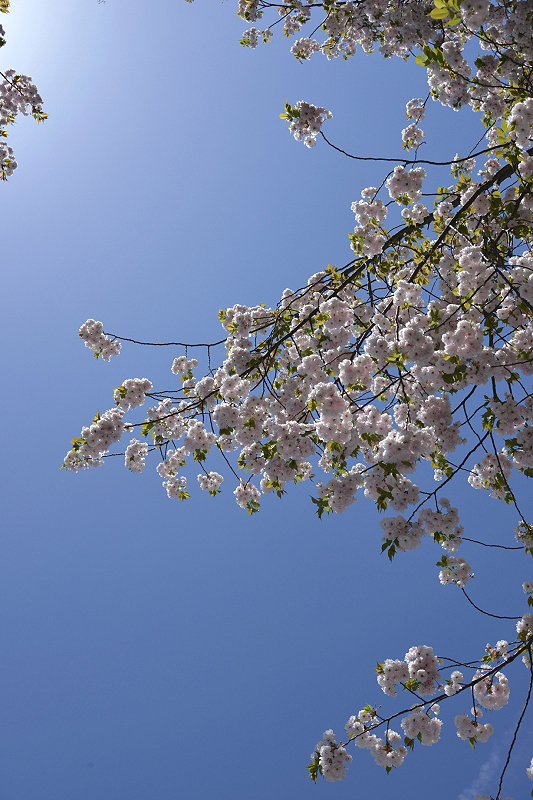 image0217
