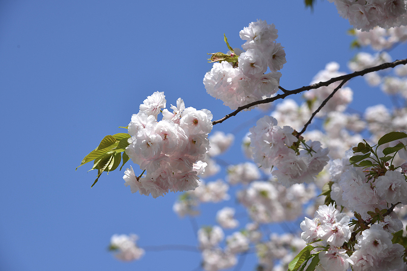 image0218
