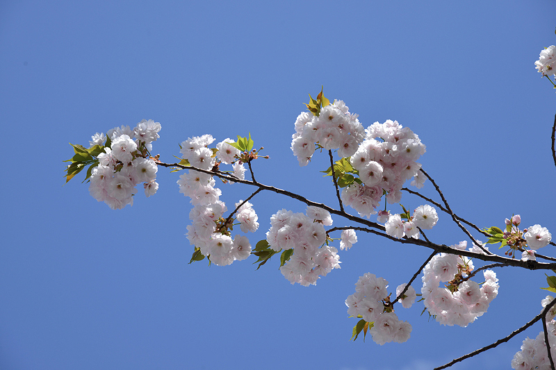 image0220