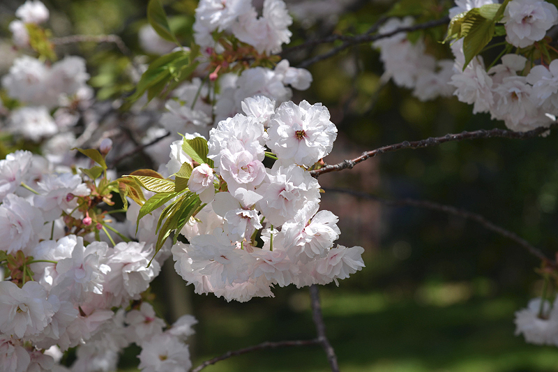 image0221