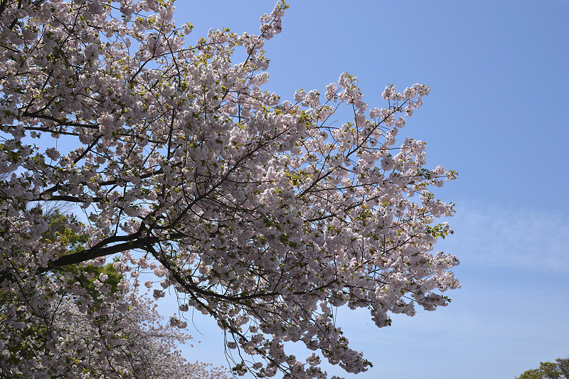 image0222